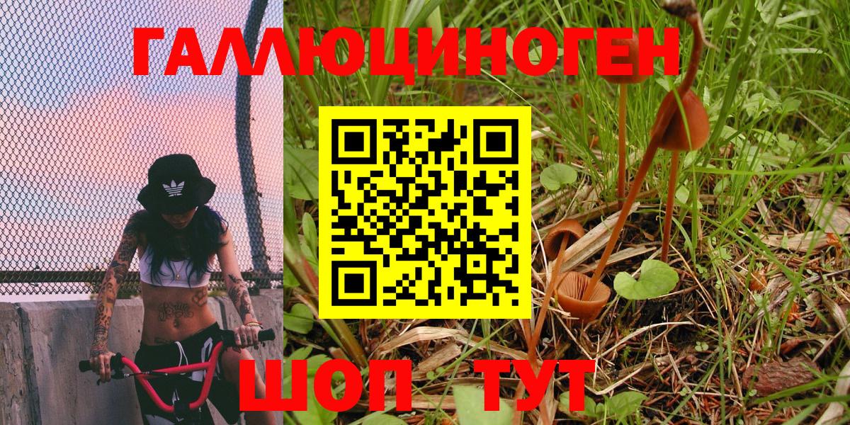 Псилоцибиновые грибы MAGIC MUSHROOMS Абакан